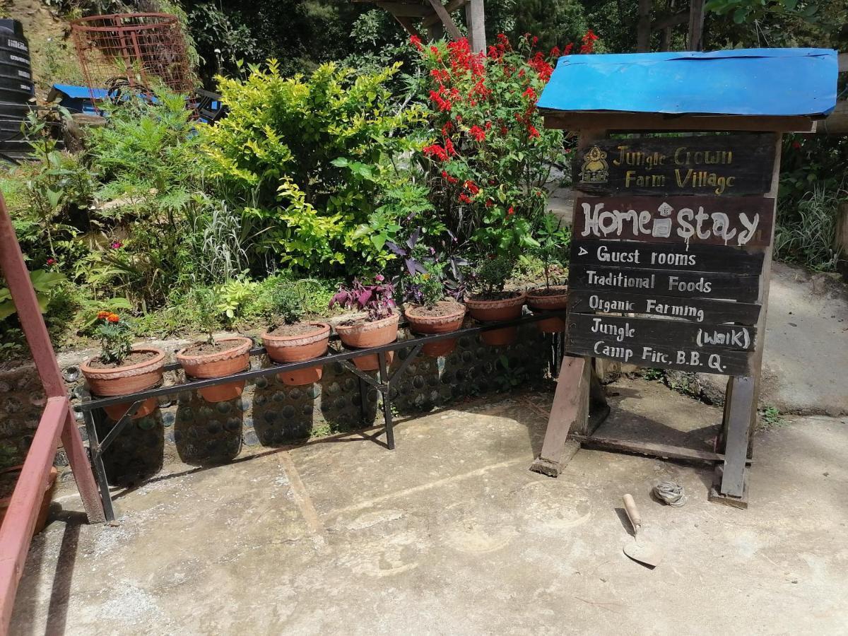Jungle Crown Organic Homestay Nagarkot Buitenkant foto