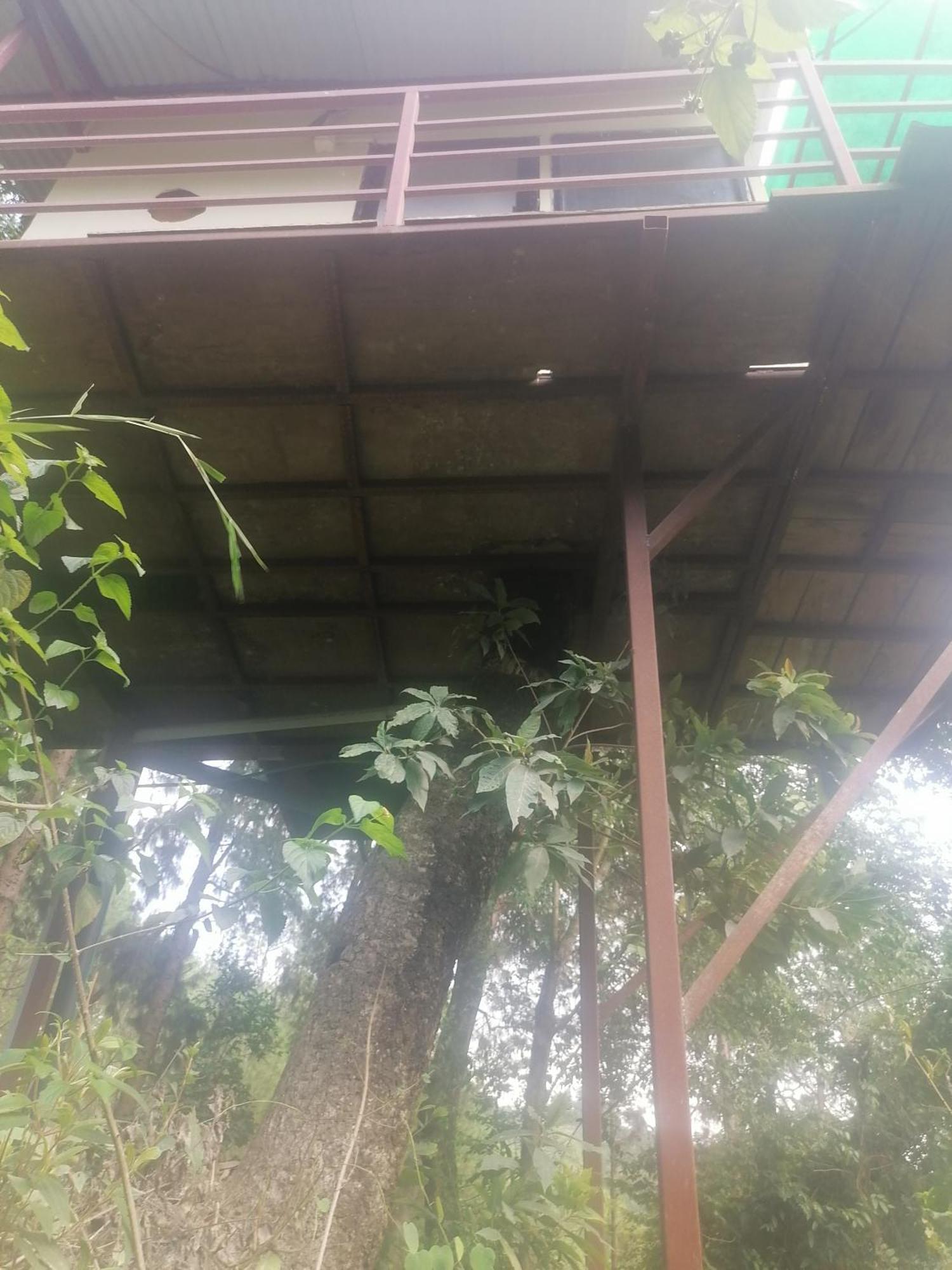 Jungle Crown Organic Homestay Nagarkot Kamer foto