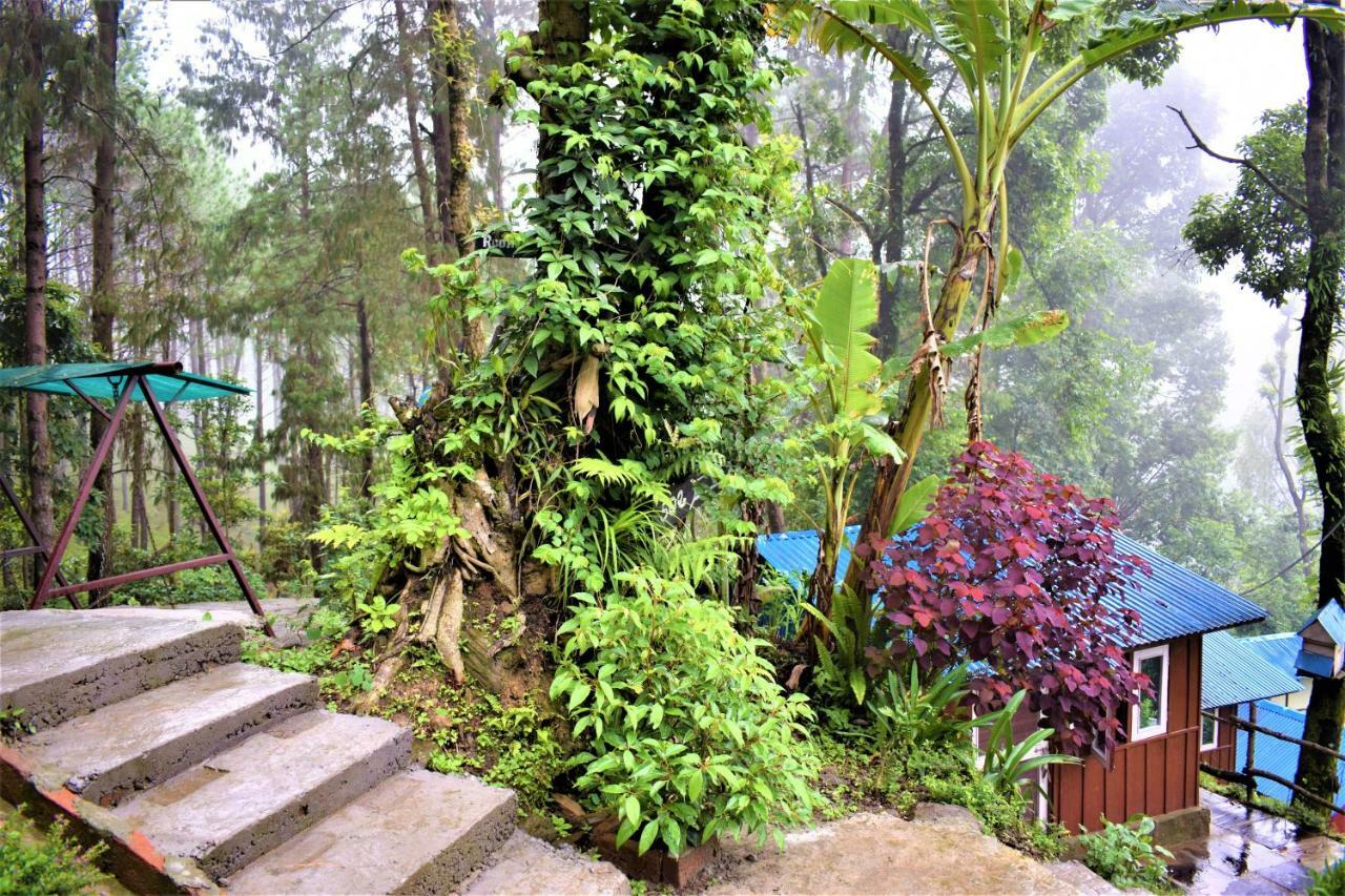 Jungle Crown Organic Homestay Nagarkot Buitenkant foto