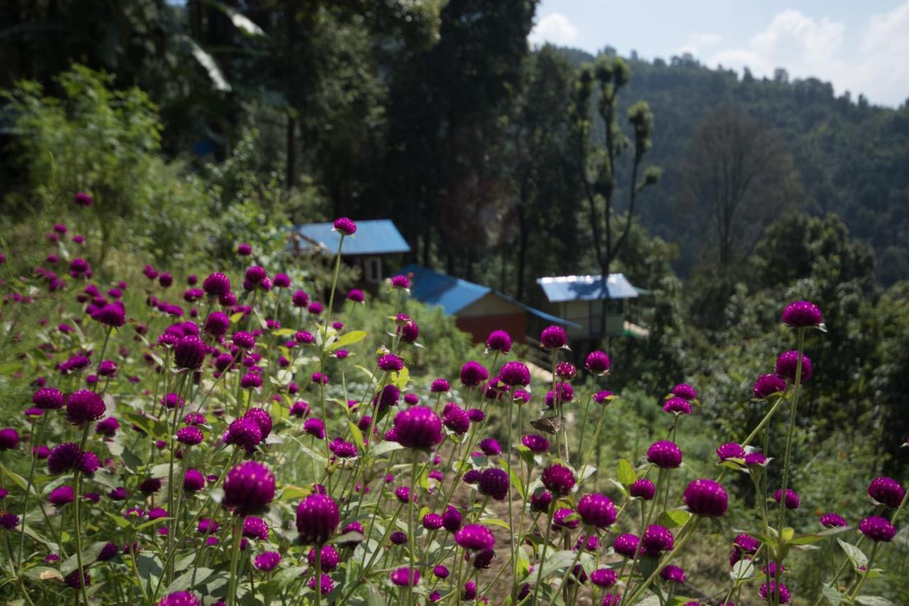 Jungle Crown Organic Homestay Nagarkot Buitenkant foto