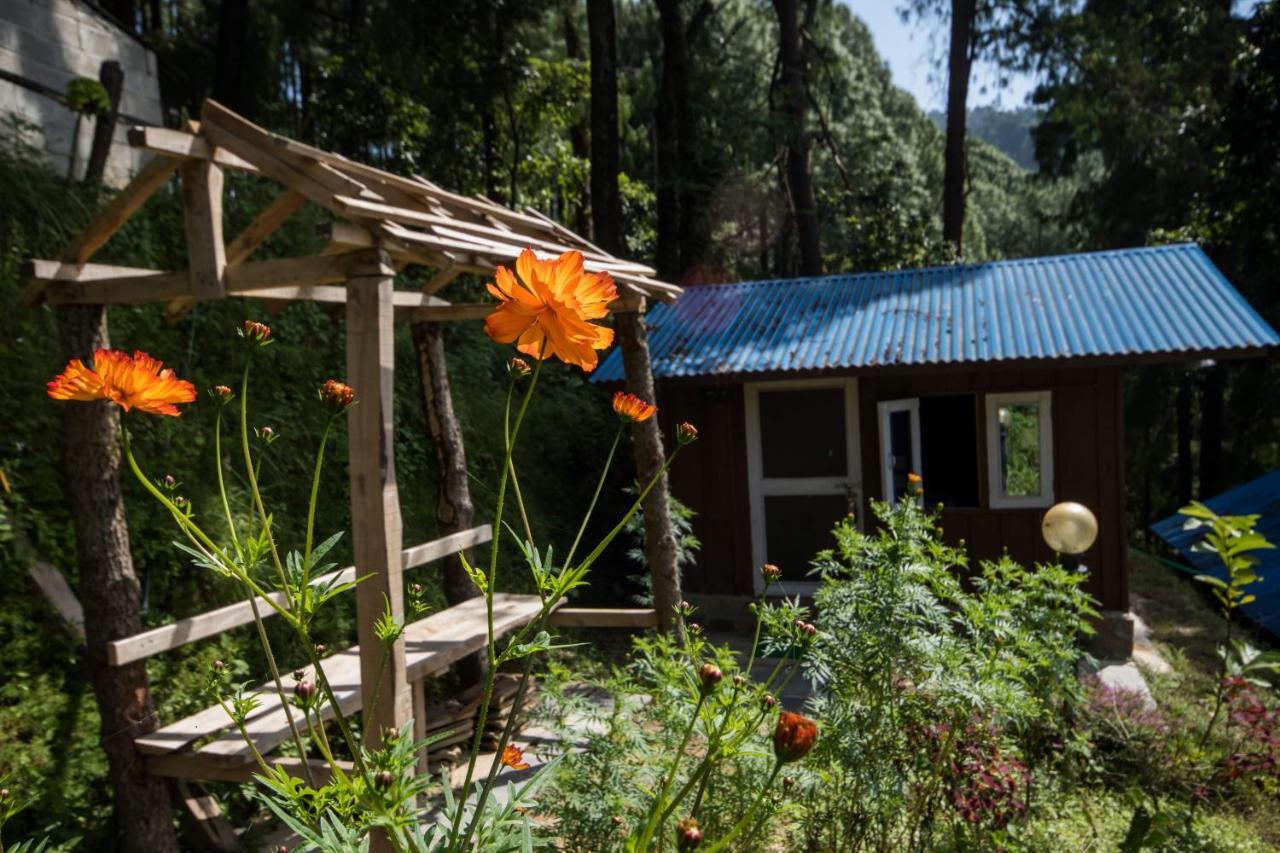 Jungle Crown Organic Homestay Nagarkot Buitenkant foto