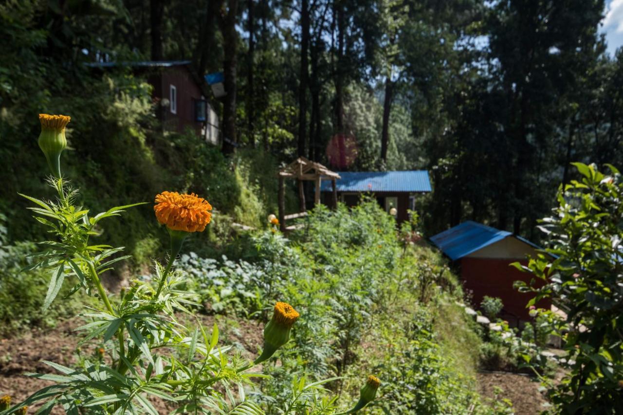 Jungle Crown Organic Homestay Nagarkot Buitenkant foto